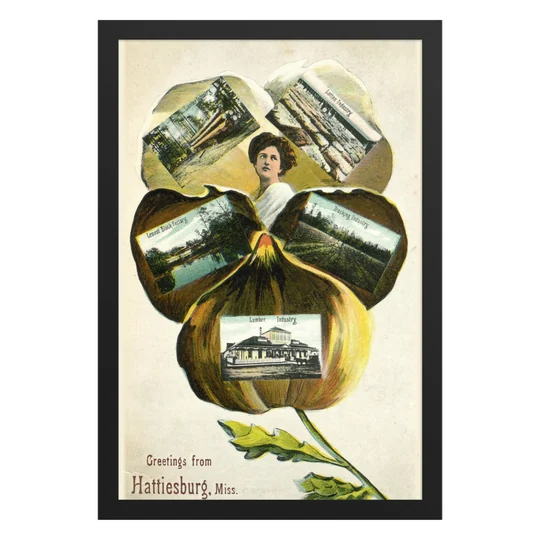 Pansy “Greetings from Hattiesburg” Postcard Framed Print